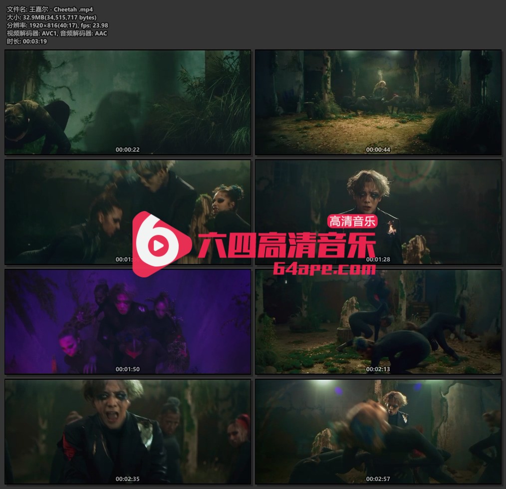 王嘉尔《Cheetah》1080P