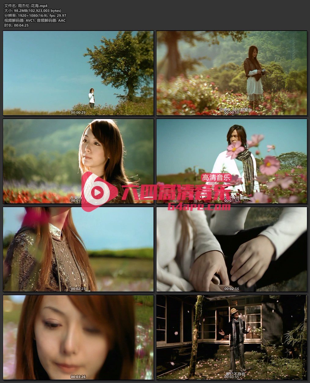 周杰伦《花海》1080P