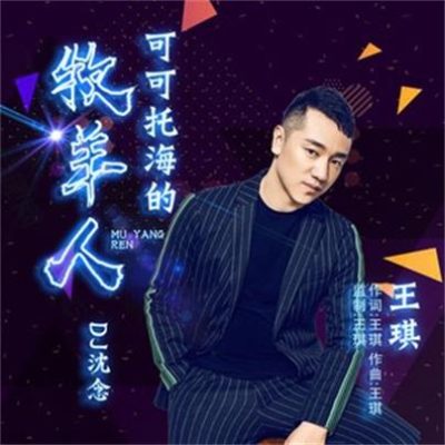 王琪《可可托海的牧羊人 (DJ沈念)》[FLAC/MP3-320K]