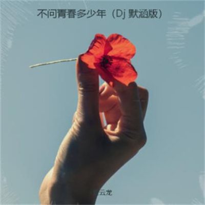 霍云龙《不问青春多少年 (DJ版)》[FLAC/MP3-320K]