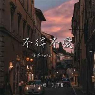 张家旺/江小白《不得不爱 (DJ阿智版)》[FLAC/MP3-320K]