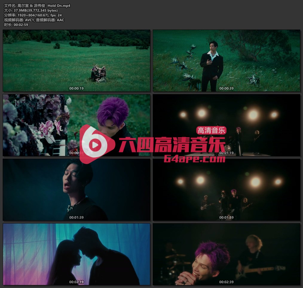 高尔宣 派伟俊《Hold On》1080P