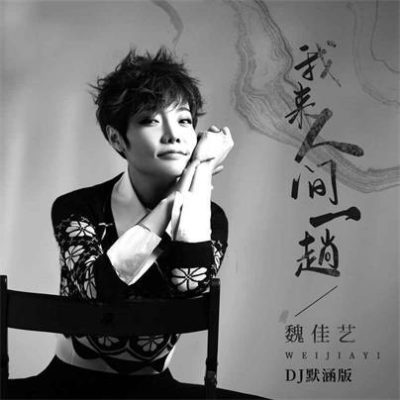 魏佳艺《我来人间一趟 (DJ默涵版)》[FLAC/MP3-320K]