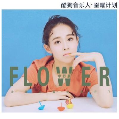 卓舒晨《走着走着花就开了 (DJ阿卓版)》[FLAC/MP3-320K]