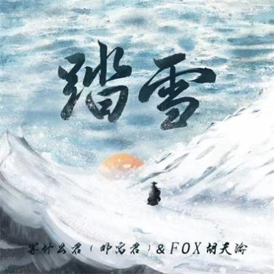 等什么君《踏雪 (DJ沈念版)》[FLAC/MP3-320K]