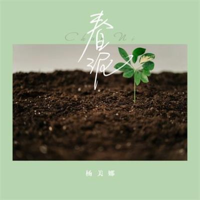 杨美娜《春泥 (DJ版)》[FLAC/MP3-320K]