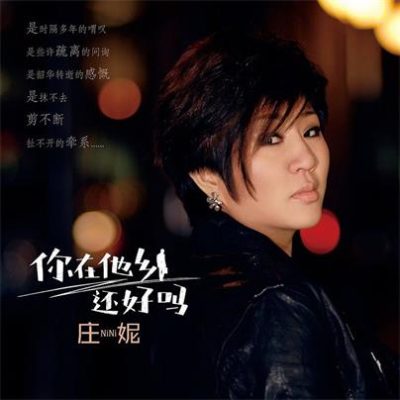 庄妮《你在他乡还好吗 (DJ阿远版)》[FLAC/MP3-320K]