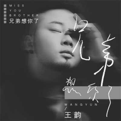 王韵《兄弟想你了 (DJ沈念版)》[FLAC/MP3-320K]