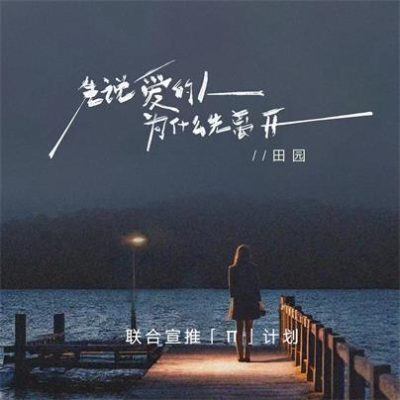 田园《先说爱的人为什么先离开》[FLAC/MP3-320K]