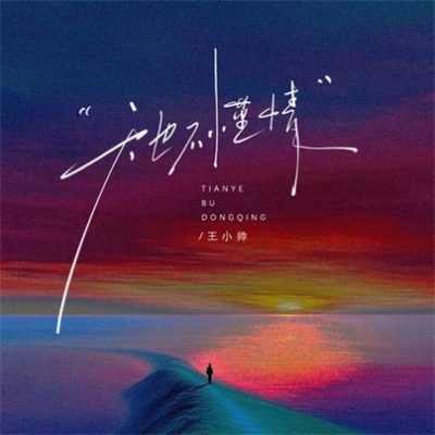 王小帅《天也不懂情 (吉他版)》[FLAC/MP3-320K]