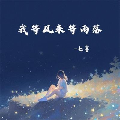 七喜《我等风来等雨落》[FLAC/MP3-320K]