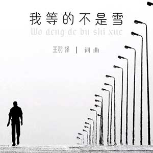 王羽泽《我等的不是雪》[无损FLAC/MP3]