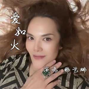 那艺娜《爱如火》[无损FLAC/MP3]