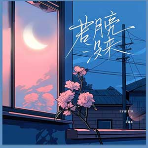 王宇宙Leto/乔浚丞《若月亮没来》[无损FLAC/MP3]